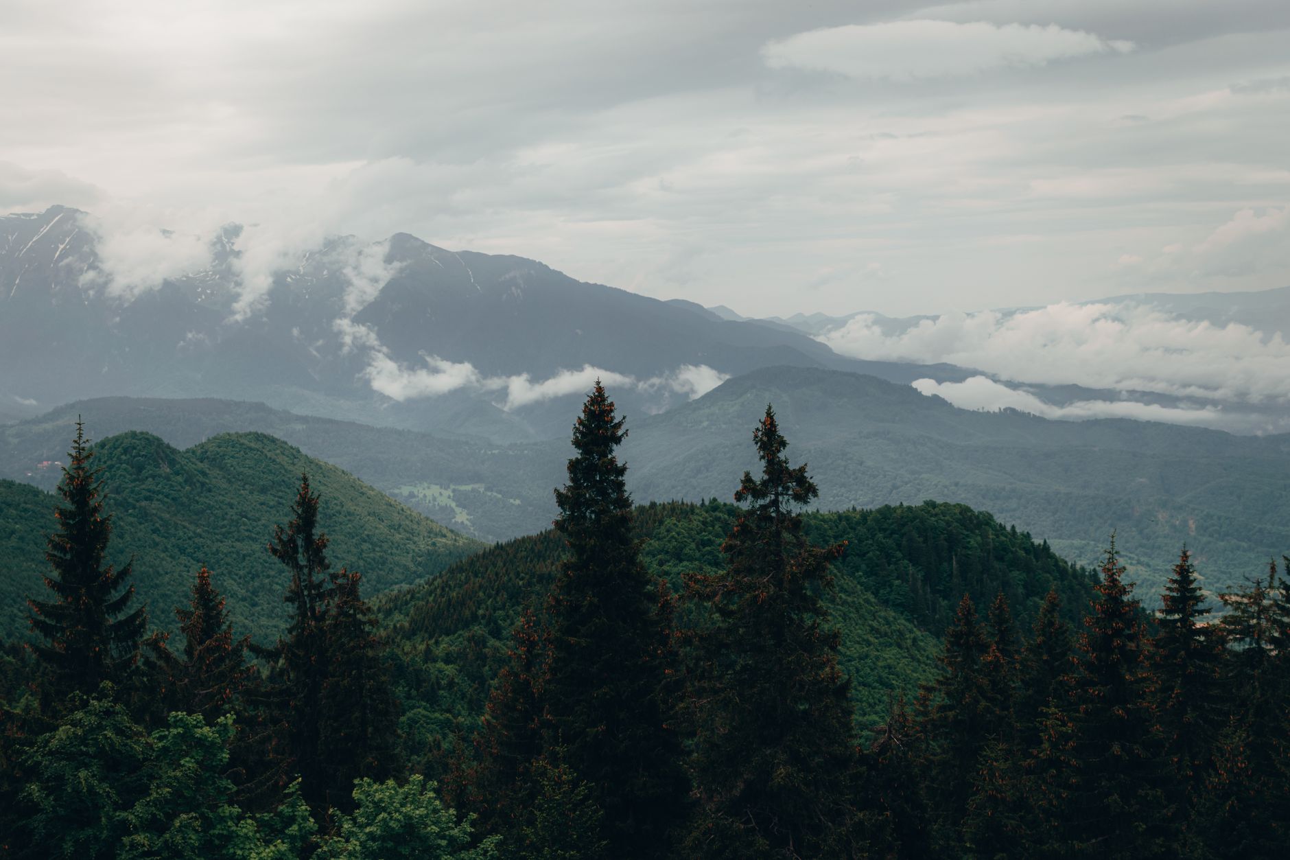 Hikers marveling at deep green hills and misty cloud forests of New Zealand