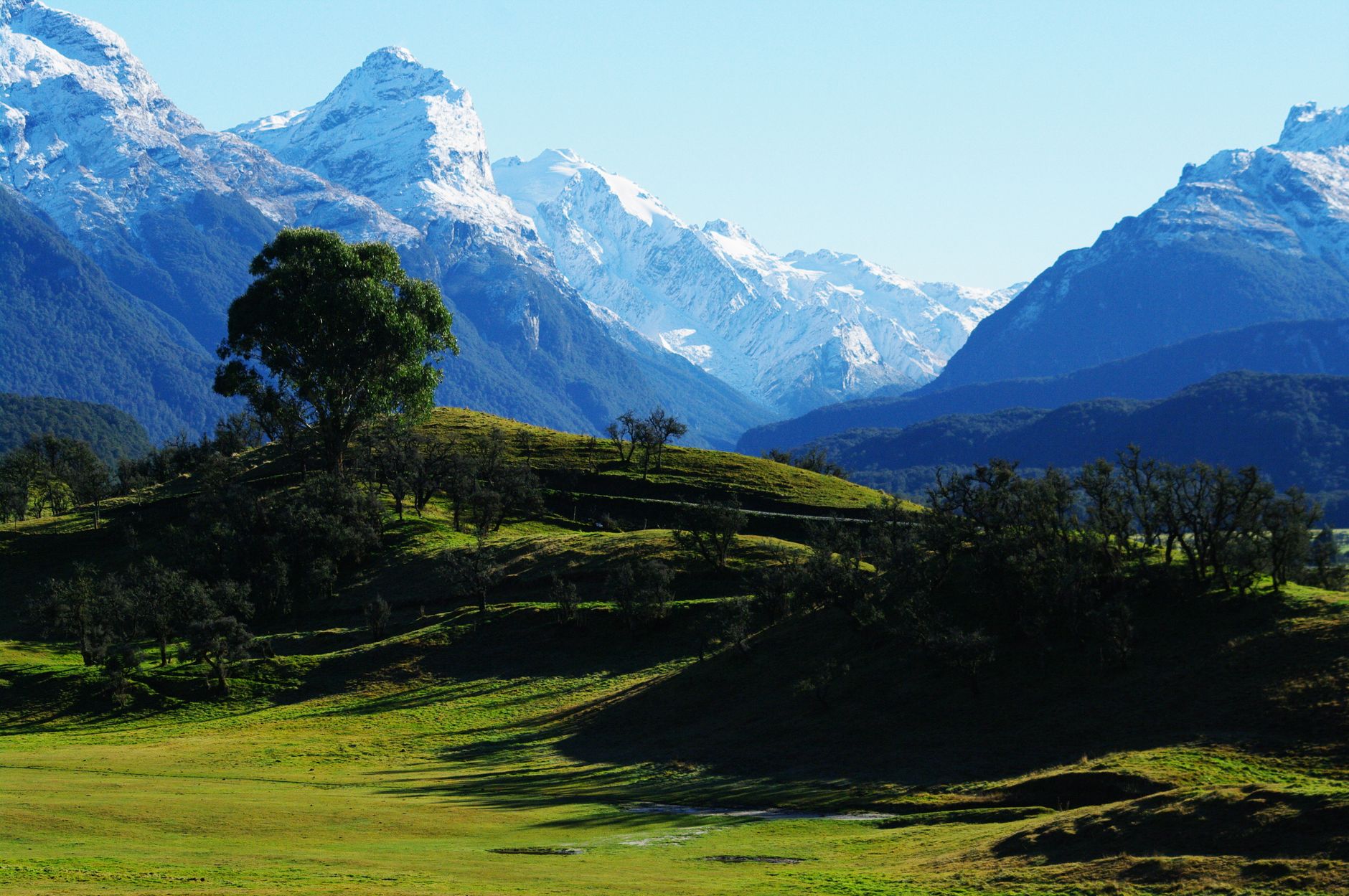South Island alpine glacier lake tour and alpine guiding